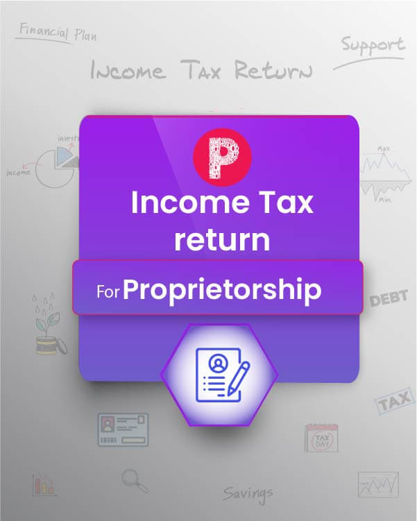 Income Tax - Business/Profession